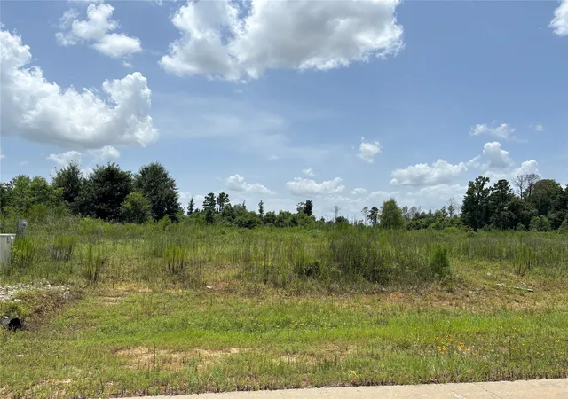 Photo 1 of Land for sale at 113 Road 5888, New Caney, TX 77357 | MLS# 15045027 | Listing updated on 2026-08-01