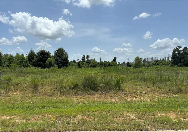 Photo 2 of Land for sale at 113 Road 5888, New Caney, TX 77357 | MLS# 15045027 | Listing updated on 2026-08-01