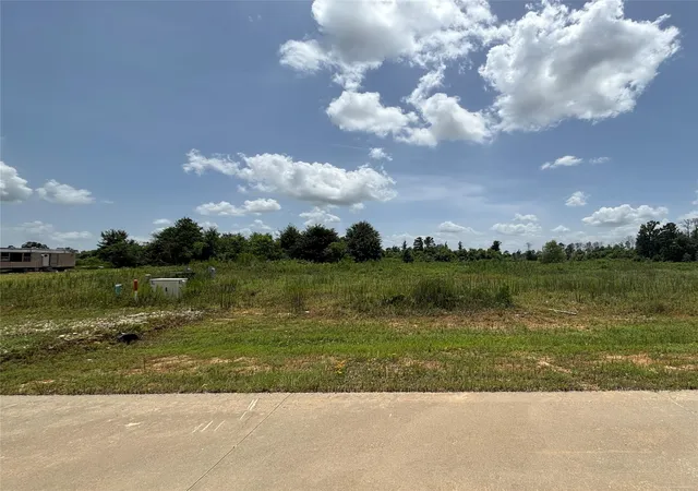 Photo 3 of Land for sale at 113 Road 5888, New Caney, TX 77357 | MLS# 15045027 | Listing updated on 2026-08-01