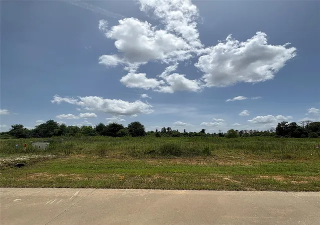 Photo 3 of Land for sale at 113 Road 5888, New Caney, TX 77357 | MLS# 15045027 | Listing updated on 2026-08-01