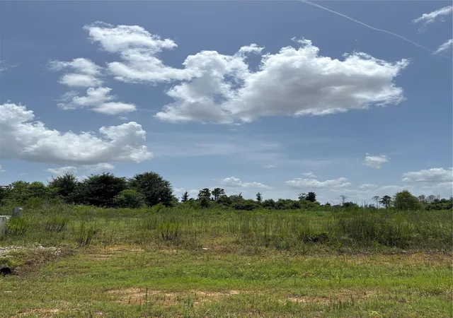 Photo 4 of Land for sale at 113 Road 5888, New Caney, TX 77357 | MLS# 15045027 | Listing updated on 2026-08-01
