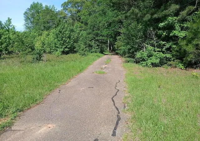 4th image of 21655 Us Hwy 59 N, Queen City, TX 75572 | MLS# 5157134