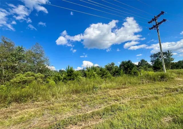 Photo 4 of Land for sale at 53 Road 5263, Cleveland, TX 77327 | MLS# 96934896 | Listing updated on 2026-03-03