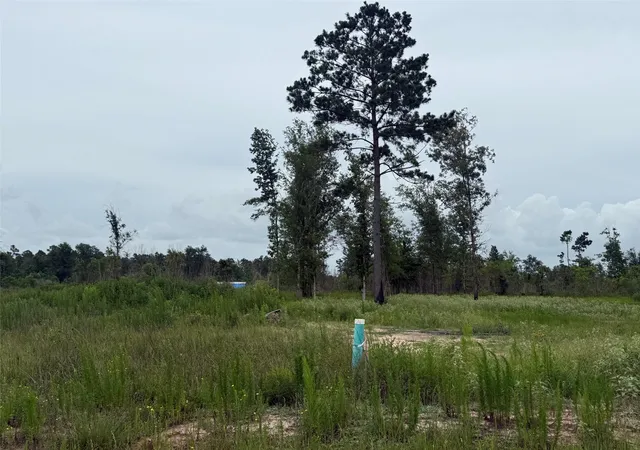 Land for sale at 390 Road 5879, New Caney, TX 77357 | MLS# 31356015