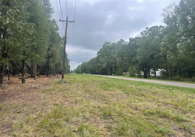 1st image of Tract C Mangum Rd, Livingston, TX 77351 | MLS# 49267445