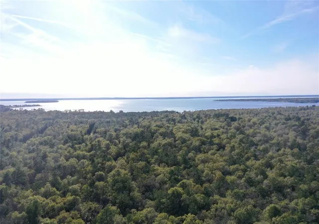 3rd image of Tract C Mangum Rd, Livingston, TX 77351 | MLS# 49267445