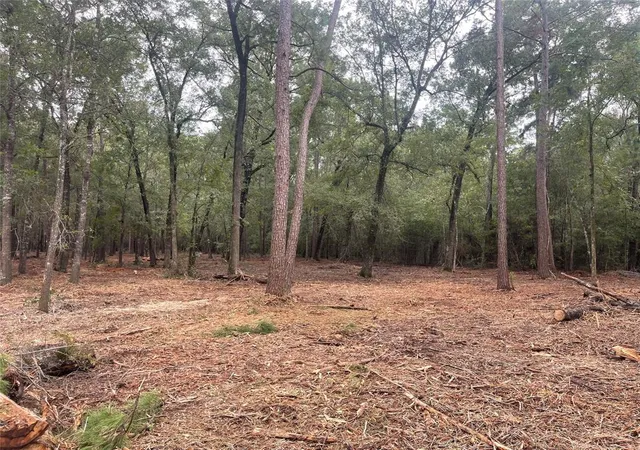 4th image of Tract C Mangum Rd, Livingston, TX 77351 | MLS# 49267445