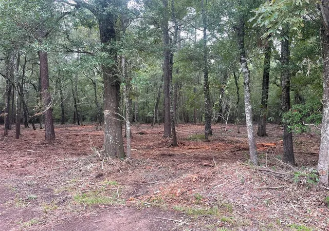 5th image of Tract C Mangum Rd, Livingston, TX 77351 | MLS# 49267445
