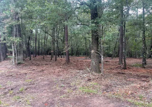 6th image of Tract C Mangum Rd, Livingston, TX 77351 | MLS# 49267445