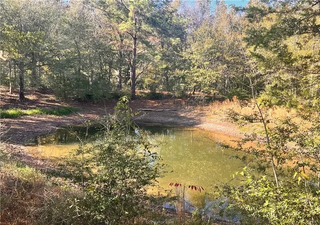 Photo 3 of Sale Pending at 6966 State Hwy 7 W, Jewett, TX 75846 | MLS# 43783589 | Listing updated on 2026-09-21