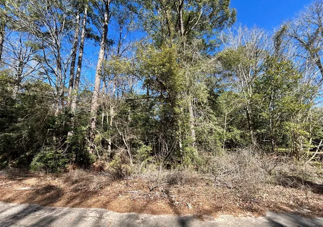Photo 3 of Land for sale at Lot 26 Buckingham Dr, Woodville, TX 75979 | MLS# 40500259 | Listing updated on 2026-09-11