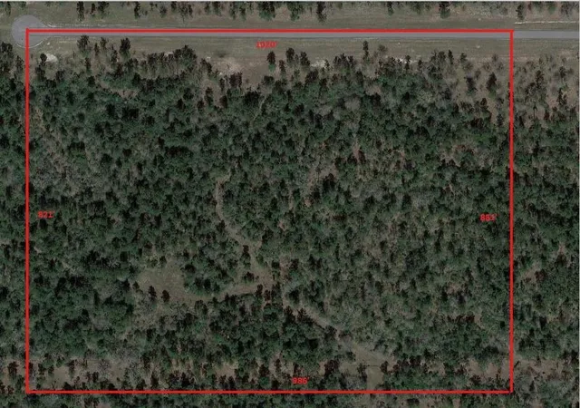 3rd image of Tbd Westview - 20 Acres, Huntsville, TX 77320 | MLS# 17637354