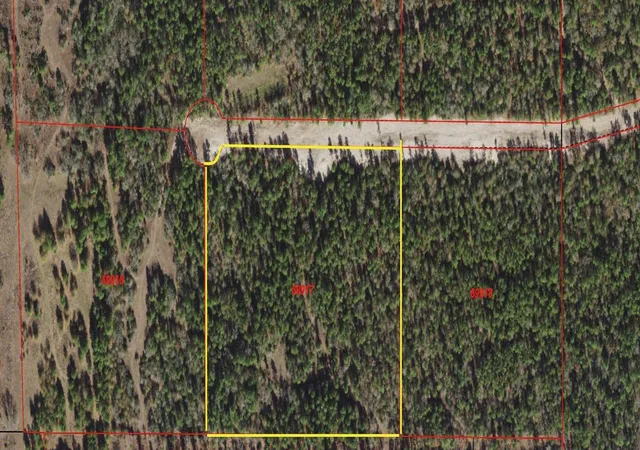 4th image of Tbd Westview - 20 Acres, Huntsville, TX 77320 | MLS# 17637354