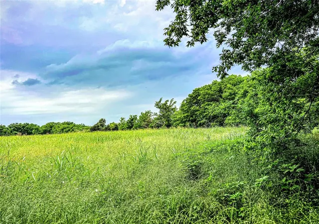 1st image of 00 Old Phillipsburg Road, Brenham, TX 77833 | MLS# 96160147