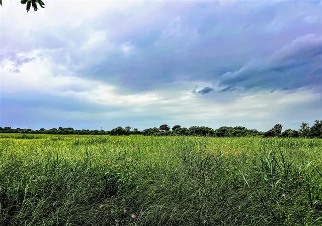 2nd image of 00 Old Phillipsburg Road, Brenham, TX 77833 | MLS# 96160147
