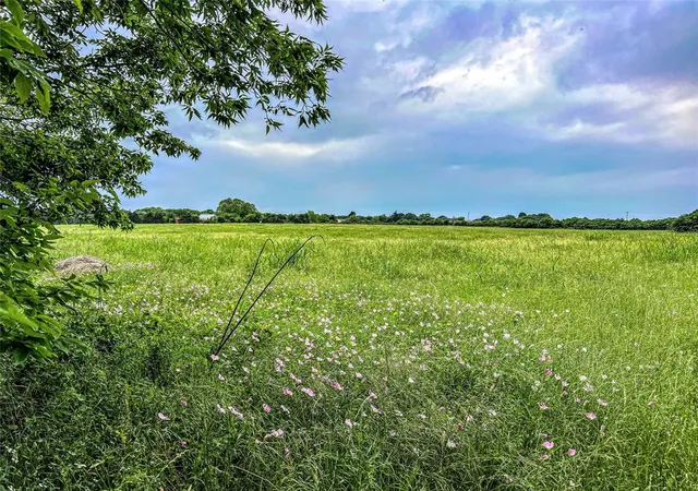 Photo 3 of Land for sale at 00 Old Phillipsburg Road, Brenham, TX 77833 | MLS# 96160147 | Listing updated on 2026-06-01