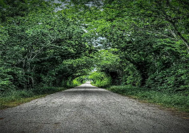 Photo 4 of Land for sale at 00 Old Phillipsburg Road, Brenham, TX 77833 | MLS# 96160147 | Listing updated on 2026-06-01