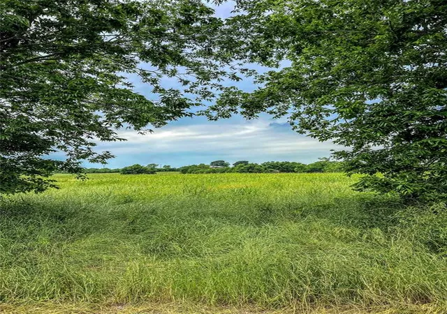 6th image of 00 Old Phillipsburg Road, Brenham, TX 77833 | MLS# 96160147