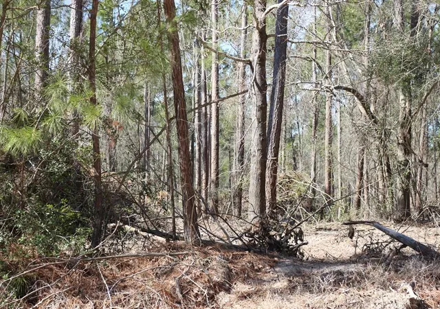 3rd image of 16-2 N Hanson Road, Onalaska, TX 77360 | MLS# 37484272