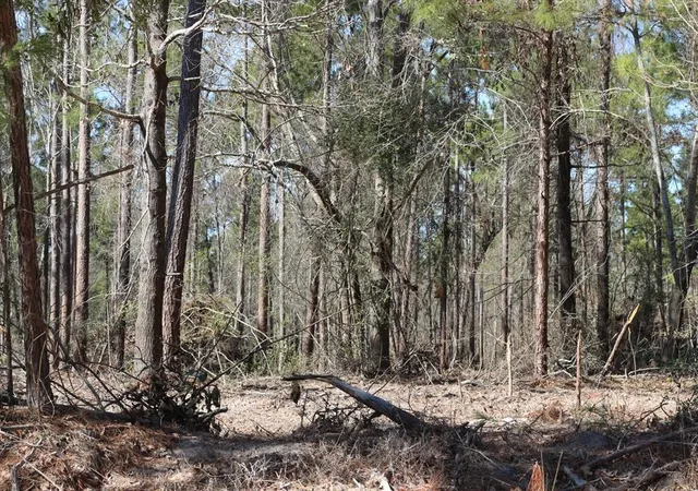 4th image of 16-2 N Hanson Road, Onalaska, TX 77360 | MLS# 37484272