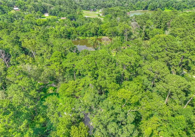 Homes for sale in Point Blank, TX | Tbd Buckeye Ln, Point Blank, TX 77364 | MLS# 41307622