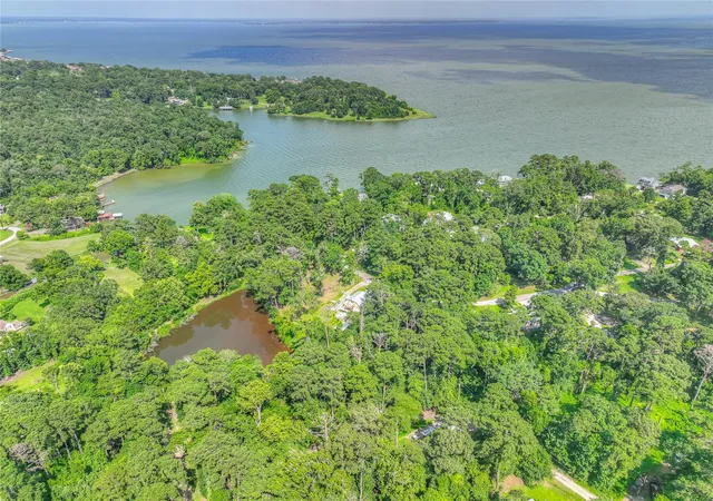 4th image of Tbd Buckeye Ln, Pointblank, TX 77364 | MLS# 41307622
