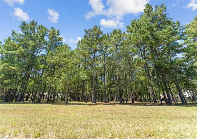 Photo 4 of Sale Pending at 28712 Beth Marie, Magnolia, TX 77355 | MLS# 75911088 | Listing updated on 2026-09-07