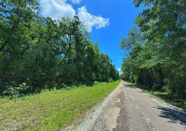 Homes for sale in Oakwood, TX | Tbd Cr 296, Oakwood, TX 75855 | MLS# 46308783