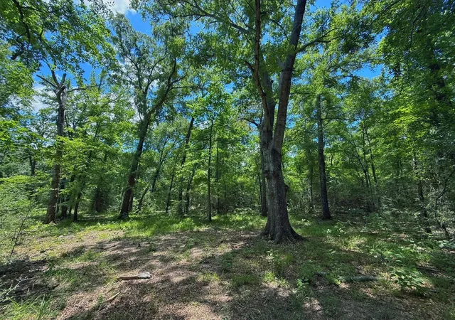 Homes for sale in Oakwood, TX | Tbd Cr 296, Oakwood, TX 75855 | MLS# 46308783