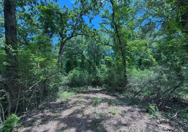 Homes for sale in Oakwood, TX | Tbd Cr 296, Oakwood, TX 75855 | MLS# 46308783