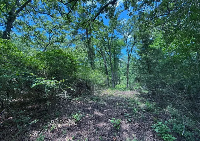 Homes for sale in Oakwood, TX | Tbd Cr 296, Oakwood, TX 75855 | MLS# 46308783