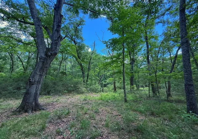 Homes for sale in Oakwood, TX | Tbd Cr 296, Oakwood, TX 75855 | MLS# 46308783