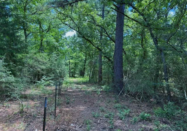 Homes for sale in Oakwood, TX | Tbd Cr 296, Oakwood, TX 75855 | MLS# 46308783
