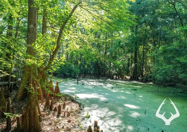 Photo 1 of Land for sale at 00 Hwy 69, Colmesneil, TX 75938 | MLS# 40665428 | Listing updated on 2026-08-29