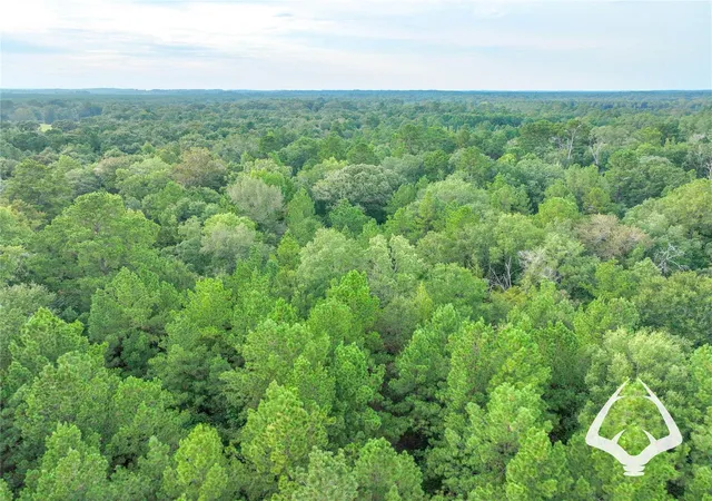 Photo 4 of Land for sale at 00 Hwy 69, Colmesneil, TX 75938 | MLS# 40665428 | Listing updated on 2026-08-29