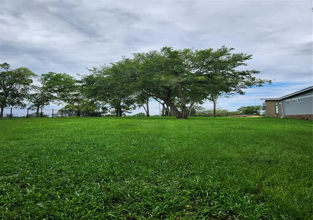 Photo 2 of Land for sale at 2035 Fm 3186, Onalaska, TX 77360 | MLS# 93416345 | Listing updated on 2026-08-06