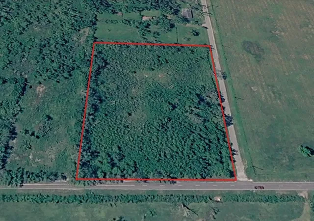Photo 1 of Land for sale at 2 Cr 316, Brazoria, TX 77422 | MLS# 85856230 | Listing updated on 2026-09-28