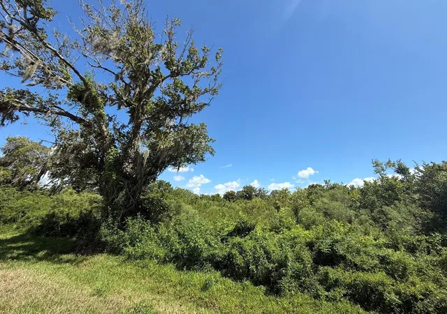 Photo 2 of Land for sale at 2 Cr 316, Brazoria, TX 77422 | MLS# 85856230 | Listing updated on 2026-09-28