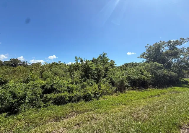 Photo 3 of Land for sale at 2 Cr 316, Brazoria, TX 77422 | MLS# 85856230 | Listing updated on 2026-09-28