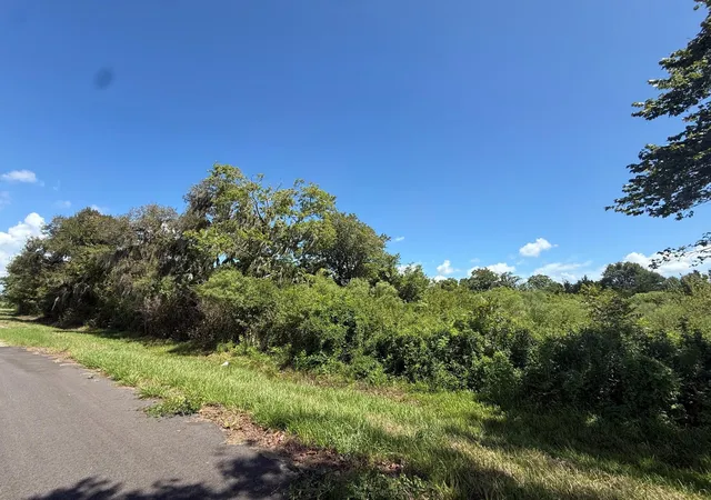 Photo 4 of Land for sale at 2 Cr 316, Brazoria, TX 77422 | MLS# 85856230 | Listing updated on 2026-09-28