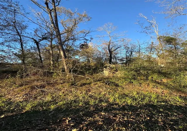 Land for sale at 307 Magnolia Bnd Dr, New Caney, TX 77357 | MLS# 97374700 | Listing updated on 2025-03-28