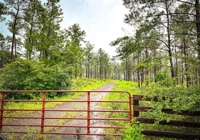 16th image of 03 Cr 257 / Cr 258, Jasper, TX 75951 | MLS# 75061855