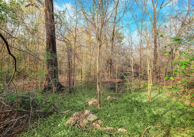 Photo 3 of Land for sale at 22648 Ford Rd, Porter, TX 77365 | MLS# 30760241 | Listing updated on 2026-03-08