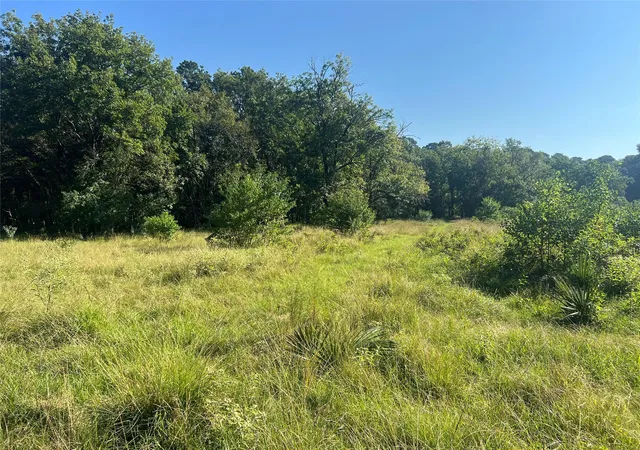 1st image of 000 Hardy Bottom Road, Huntsville, TX 77340 | MLS# 2592221