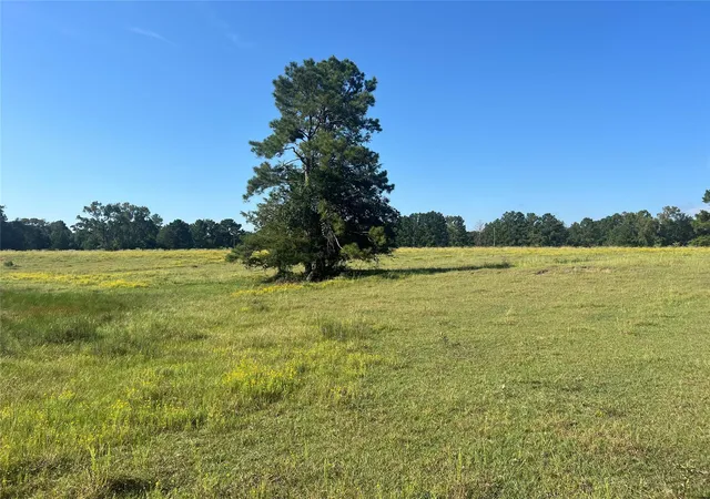 Photo 2 of Land for sale at 000 Hardy Btm Rd, Huntsville, TX 77340 | MLS# 2592221 | Listing updated on 2026-05-22