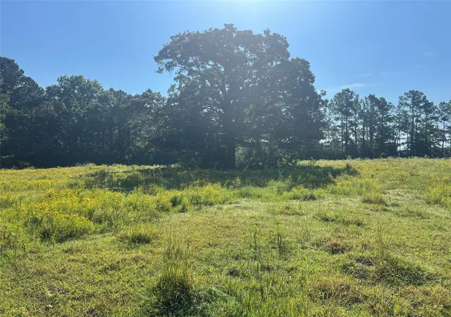 Photo 3 of Land for sale at 000 Hardy Btm Rd, Huntsville, TX 77340 | MLS# 2592221 | Listing updated on 2026-05-22