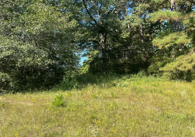 Photo 4 of Land for sale at 000 Hardy Btm Rd, Huntsville, TX 77340 | MLS# 2592221 | Listing updated on 2026-05-22