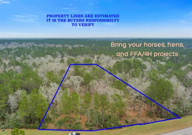 Photo 2 of Land for sale at 10751 Ruger Rd, Willis, TX 77378 | MLS# 93070332 | Listing updated on 2026-06-05