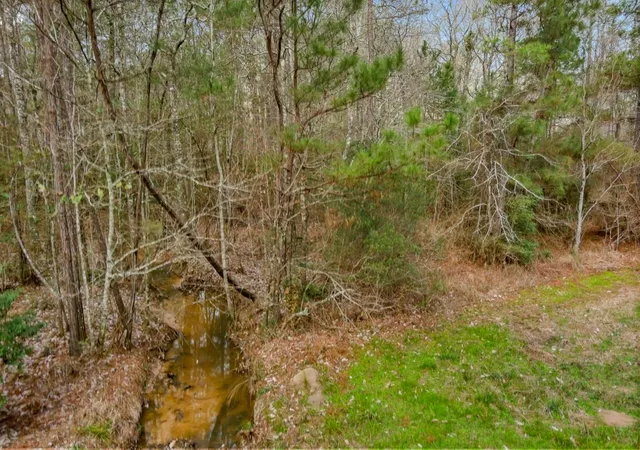 Photo 4 of Land for sale at 10751 Ruger Rd, Willis, TX 77378 | MLS# 93070332 | Listing updated on 2026-06-05