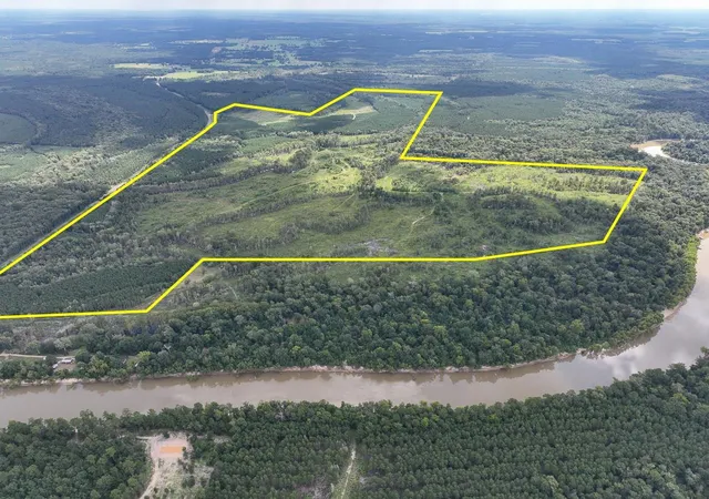 1st image of 0 Fm 1013, Kirbyville, TX 75956 | MLS# 36977923